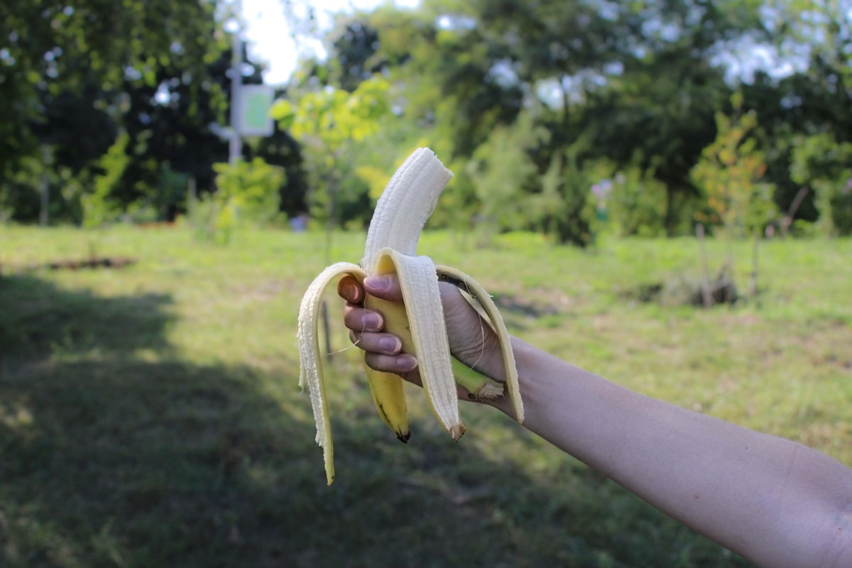 Amateur athlete refueling after training session